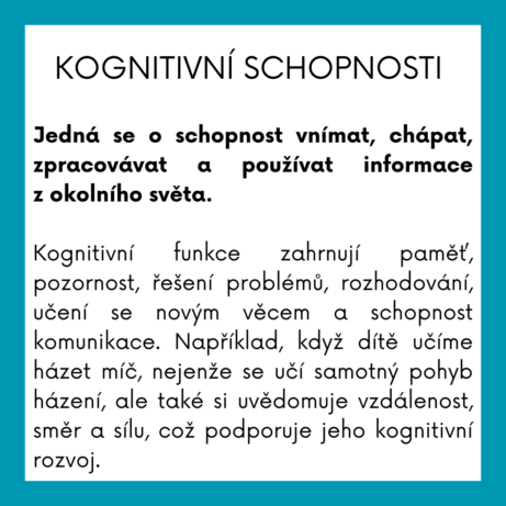 Kognitivní schopnosti - Jedná se o schopnost vnímat, chápat, zpracovávat a používat informace z okolního světa.